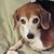 Sue Tedder-Lester's profile image