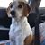 Kim Reed Goward's profile image