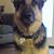 Edmundo Martinez's profile image