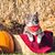 Lori Heitz Peebles's profile image