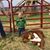 Sue Beaudin's profile image