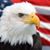 Shannon M Kinford's profile image