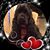 Kathy Kovacs's profile image