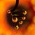 Abeed Abeed's profile image