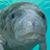 Maureen McCulley's profile image