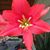 Sandra L. Dove's profile image