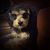 Carla Powell's profile image