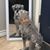 Jan Simnacher's profile image