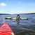 Lori McKeown's profile image
