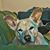 Clay De Santa Fe's profile image