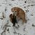 Ken Stoltz's profile image
