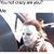 Rachel Jenkins's profile image