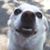 Sue Janacek's profile image