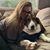 Michelle Tankersley's profile image