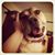 Roxanne Taubs's profile image