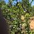 Susan Smith's profile image