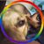 Reggie Benson's profile image