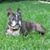 Cheryl Ann's profile image