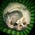 David Williams's profile image