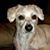 Donna Long Parks's profile image
