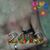 Pamela Tanner Trapp's profile image