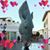 Donna Griffis's profile image