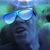 Carol Arneson's profile image