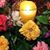 Edna Ed Walsh's profile image