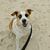 Karen Scales Wilson's profile image