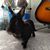 Bonnie Finley's profile image