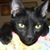 Debbie Ennis's profile image