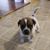 Joanie Teeters's profile image
