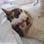 Dawn Pietrykowski's profile image