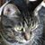 Sue Leiby's profile image