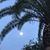 Annick Mesko's profile image