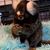 Linda Robinson's profile image
