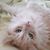 Susan Richards Tremble's profile image