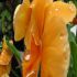 Maryann M.'s profile image