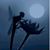 Priscilla Peltz Moseley's profile image