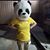 Amanda R Croft's profile image