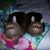 Margaret Stern's profile image