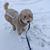 Linda Harper Marlow's profile image