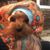 Janey Appia's profile image