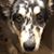 Nanette Bisher's profile image
