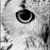 Yevette Ehlers's profile image