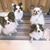 Sue Ann Branstein's profile image