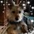 Belinda Oglesby Mulrooney's profile image