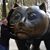 Matt Rinkenberger's profile image