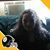 Carol Loy Kernan Ice's profile image