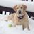 Rachel Hadden Hunley's profile image